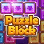 Puzzle Block